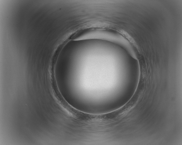 X0000075410581200609151849