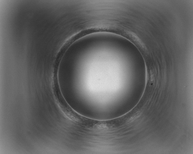 X0000075410588200609151849