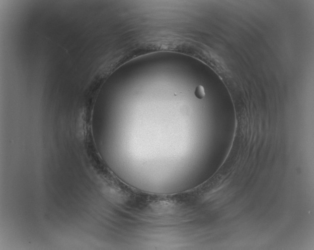 X0000075410594200609151849