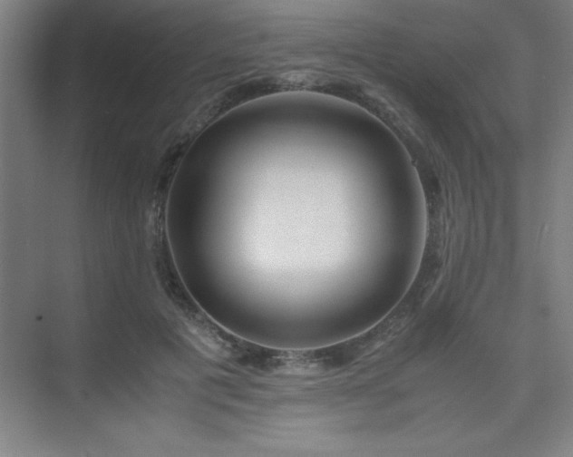 X0000075410601200609151849