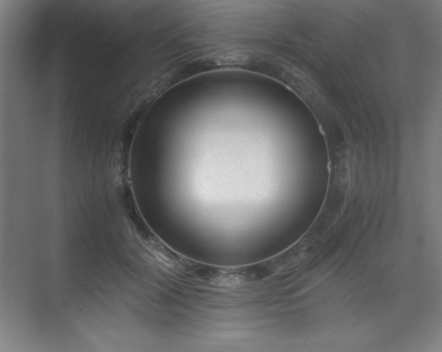 X0000075410604200609151849