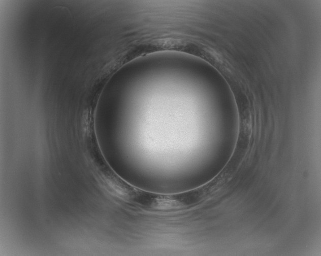 X0000075410605200609151849