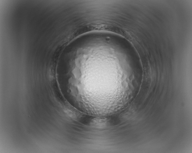 X0000075410606200609151849
