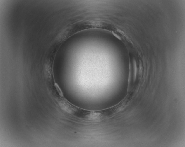 X0000075410609200609151849
