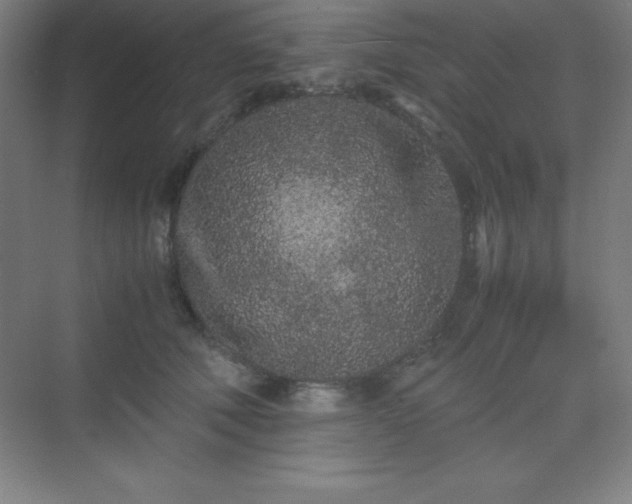X0000075410610200609151849