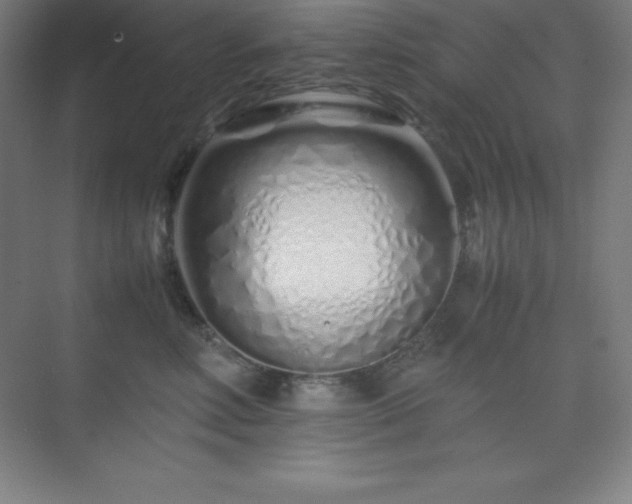 X0000075410618200609151848