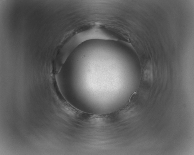 X0000075410620200609151848