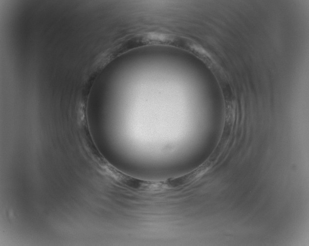 X0000075410621200609151848