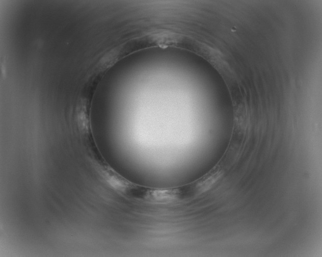 X0000075410622200609151848