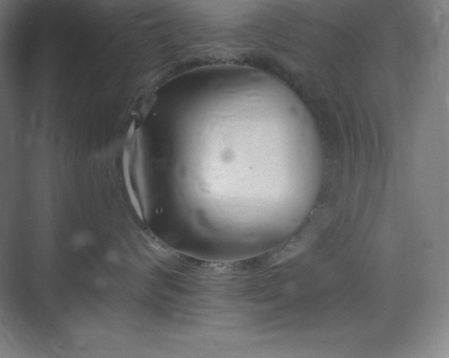 X0000075410624200609151848