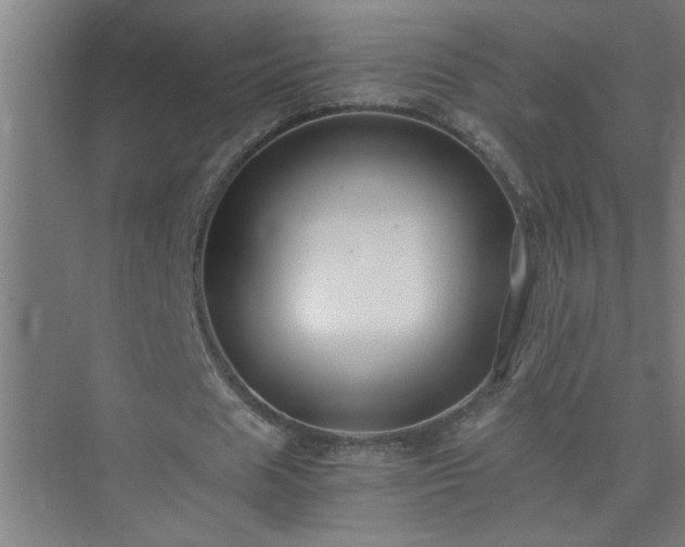 X0000075410625200609151848