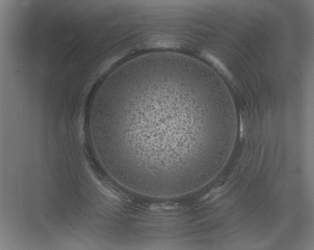 X0000075410627200609151848
