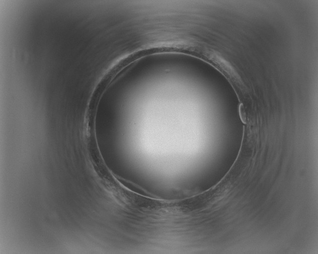 X0000075410628200609151848