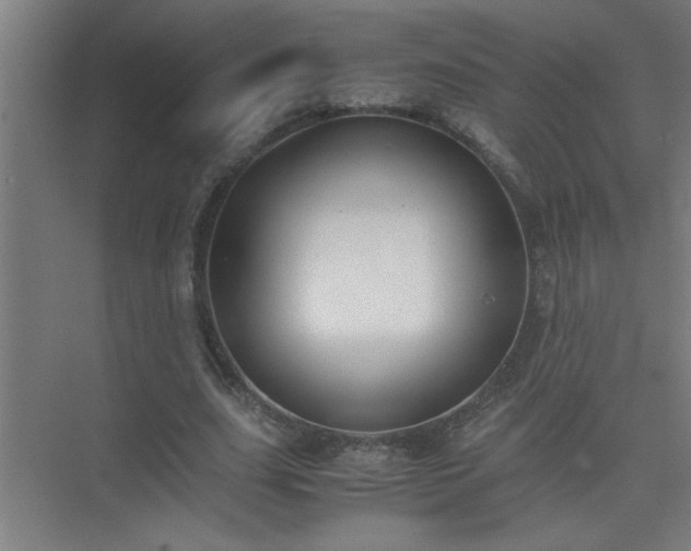 X0000075410631200609151848