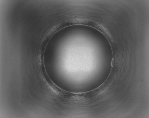 X0000075410633200609151848