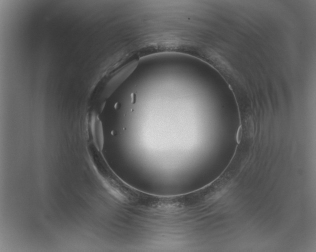 X0000075410638200609151848