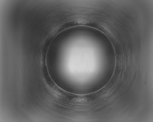 X0000075410639200609151848