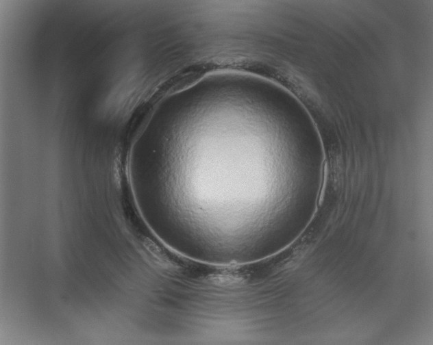 X0000075410644200609151848