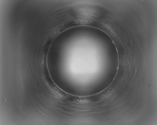 X0000075410645200609151848