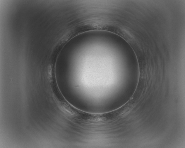 X0000075410646200609151848
