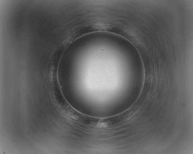 X0000075410647200609151848