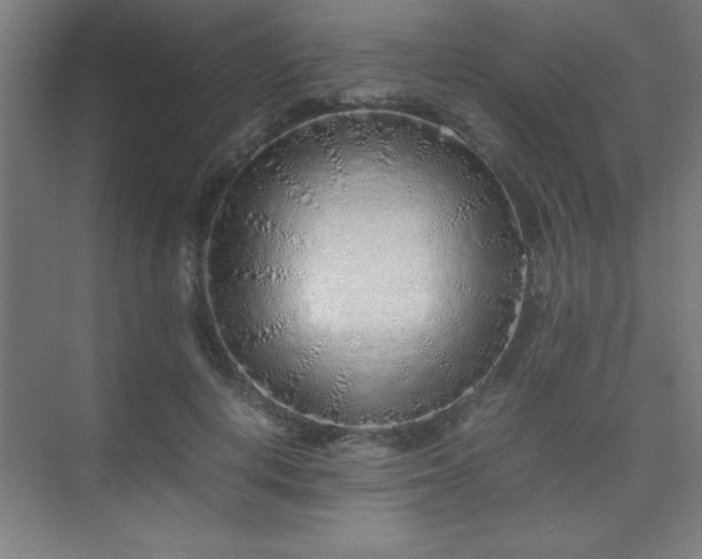 X0000075410648200609151848