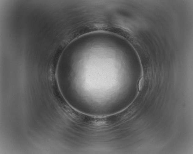 X0000075410651200609151848