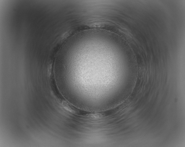 X0000075410652200609151848