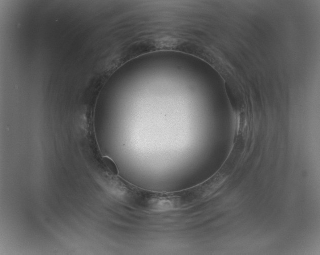 X0000075410655200609151848