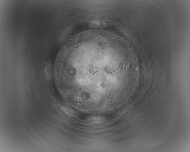 X0000075410659200609151848