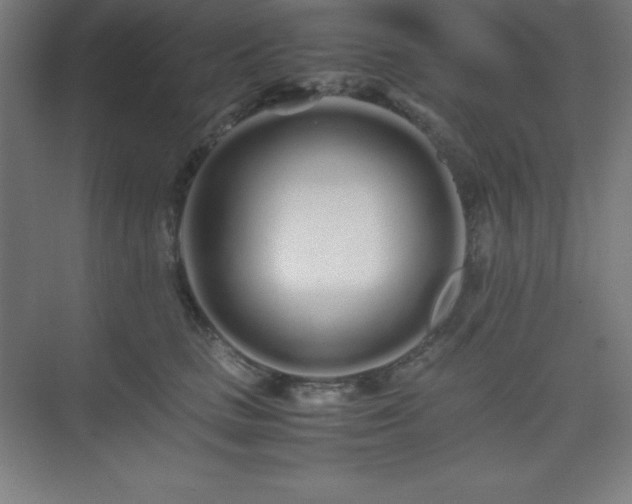 X0000075410661200609151848