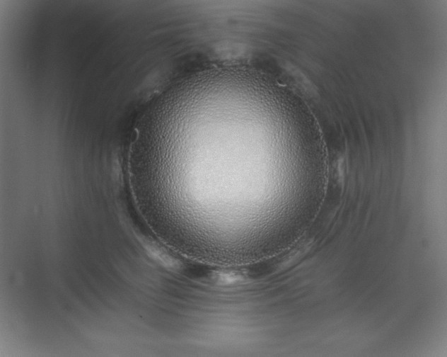 X0000075410662200609151848