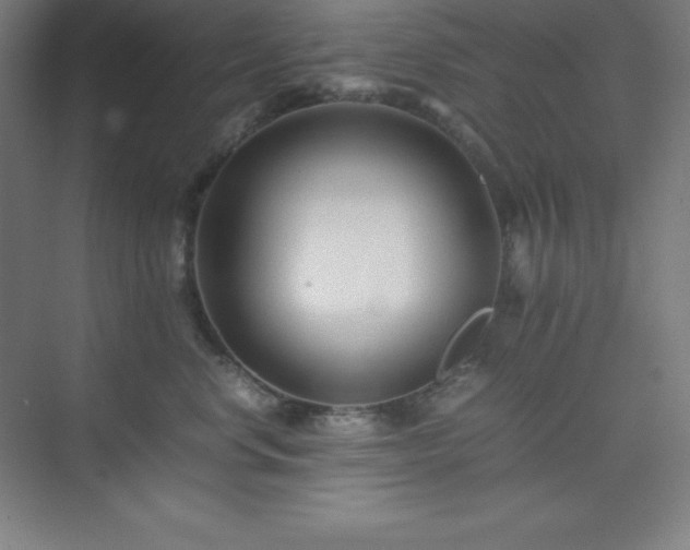 X0000075410668200609151848