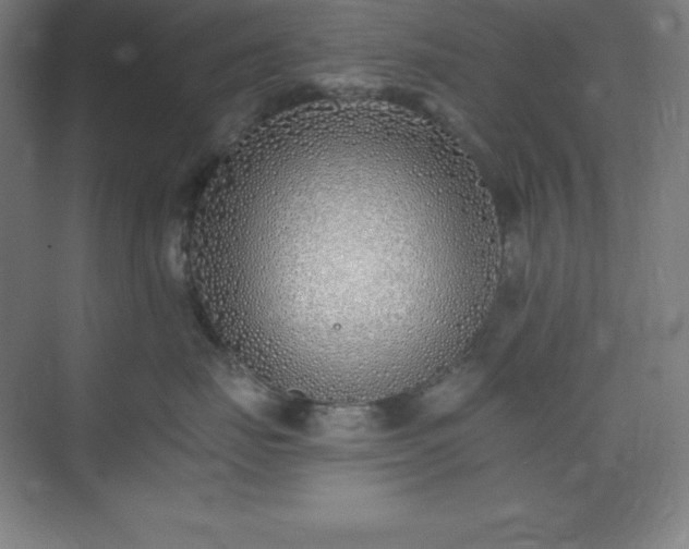 X0000075410671200609151848