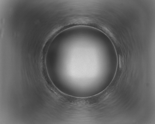 X0000075410675200609151848