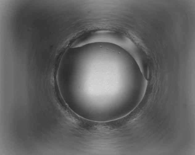 X0000075410681200609151847