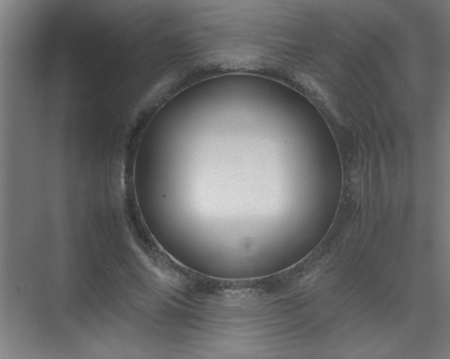 X0000075410686200609151847