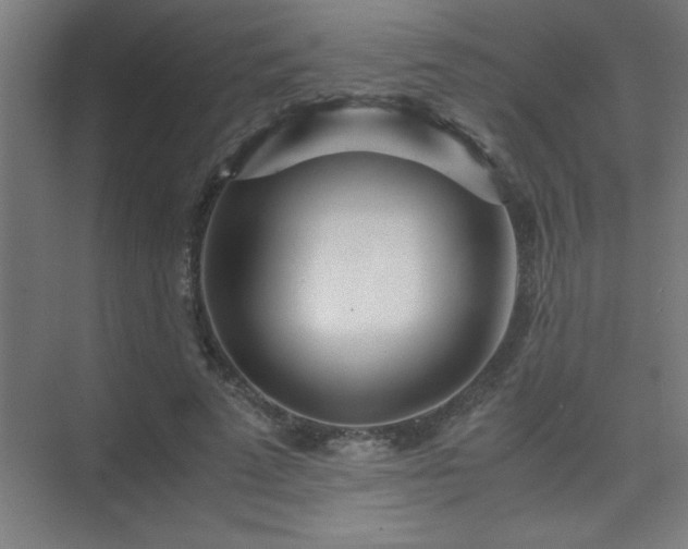 X0000075410689200609151847