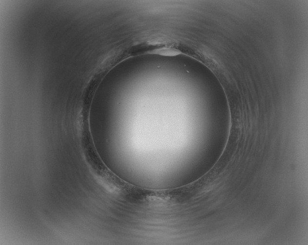 X0000075410690200609151847