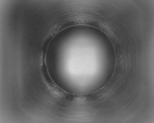 X0000075410694200609151847