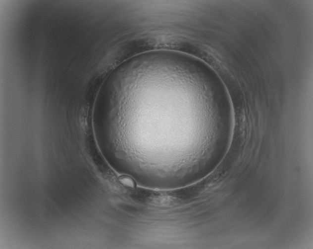 X0000075410695200609151847