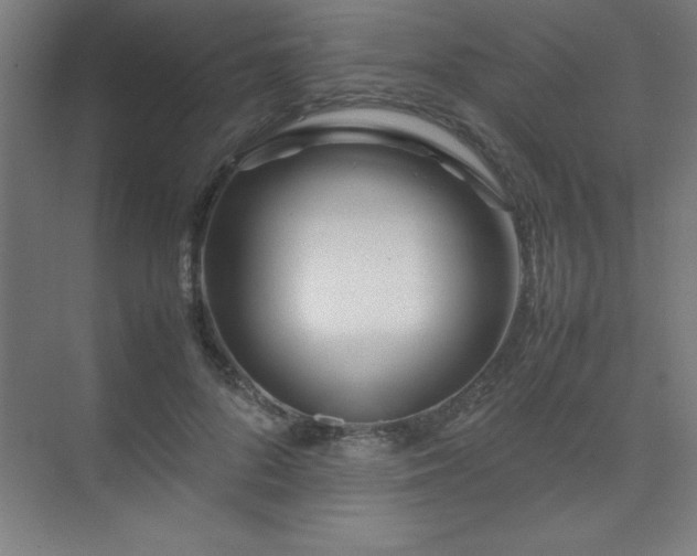 X0000075410696200609151847