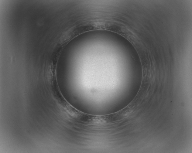 X0000075410702200609151847