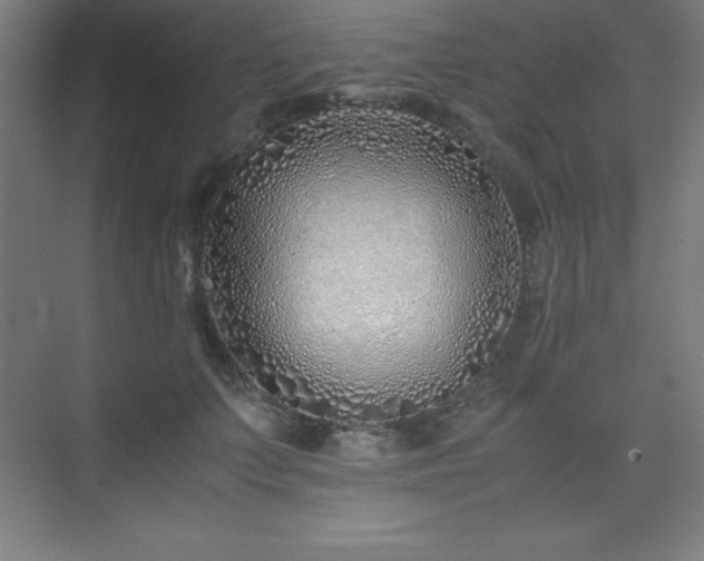 X0000075410703200609151847