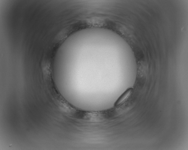 X0000075410713200609151847