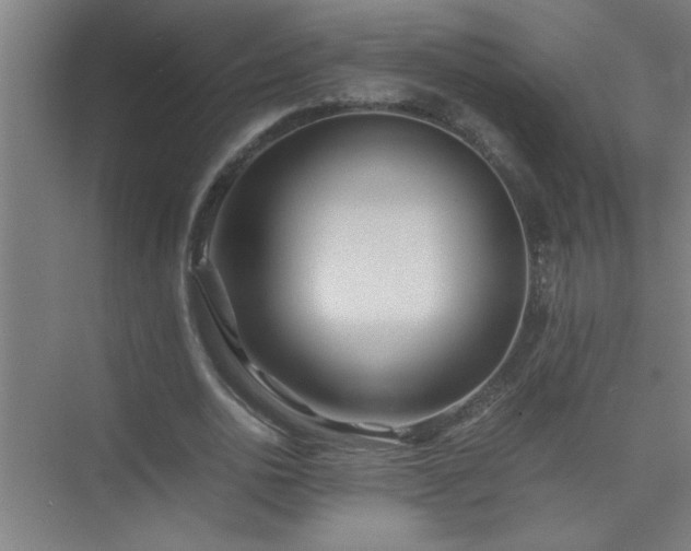 X0000075410726200609151846