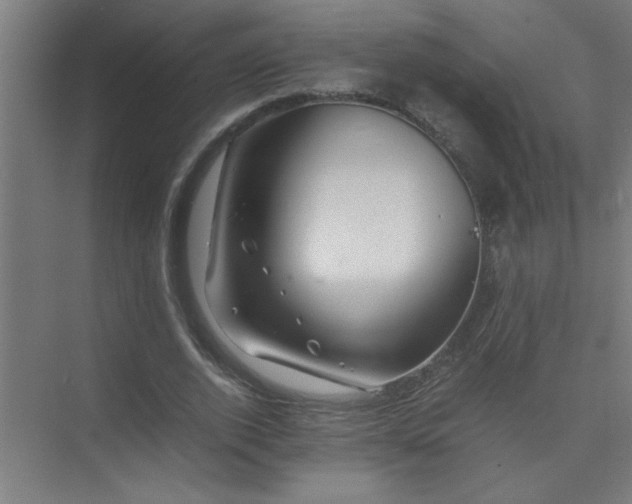 X0000075410728200609151846