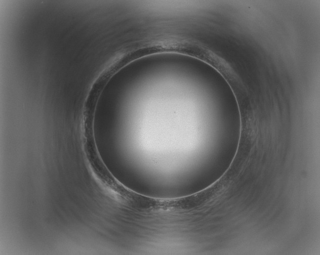 X0000075410730200609151846