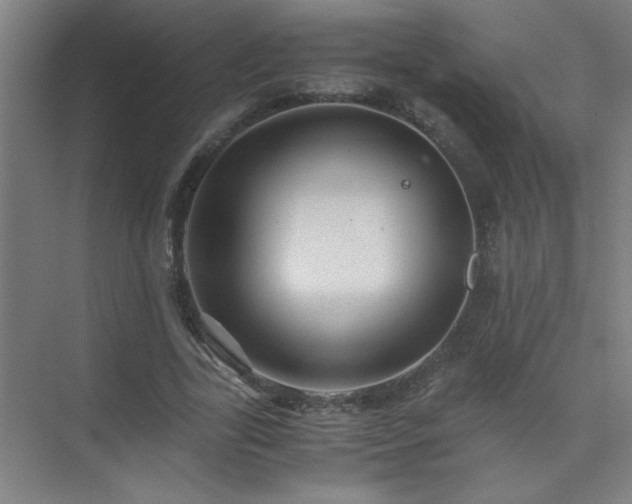 X0000075410731200609151846