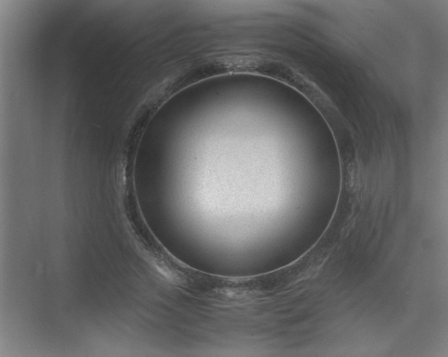 X0000075410733200609151846